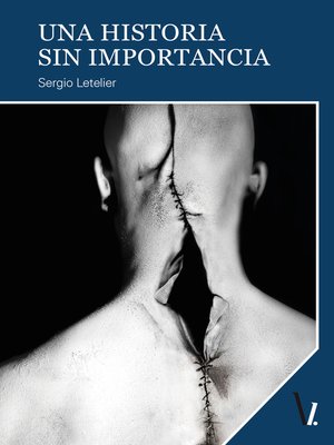 cover image of Una historia sin importancia